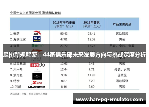 足协新规解密:44家俱乐部未来发展方向与挑战深度分析 足协新规解密:44家俱乐部未来发展方向与挑战深度分析