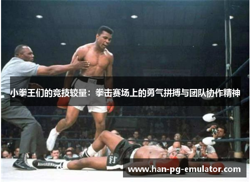 小拳王们的竞技较量：拳击赛场上的勇气拼搏与团队协作精神